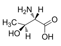 L-別蘇氨酸，95%(HPLC) 